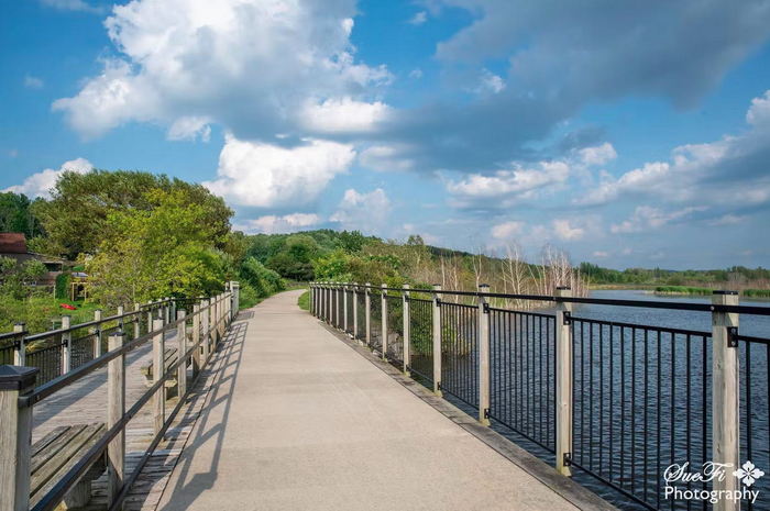 Honeymoon Lodge Motel (Coastal Inn) - Recent Photos From Website (newer photo)